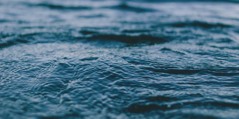 跨越边界,培育未来:基于100普育理念的主题式综合实践活动课程开发全攻略